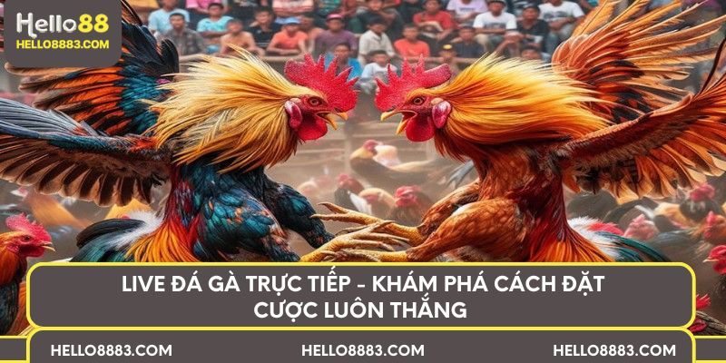 Live đá gà trực tiếp - Khám phá cách đặt cược luôn thắng